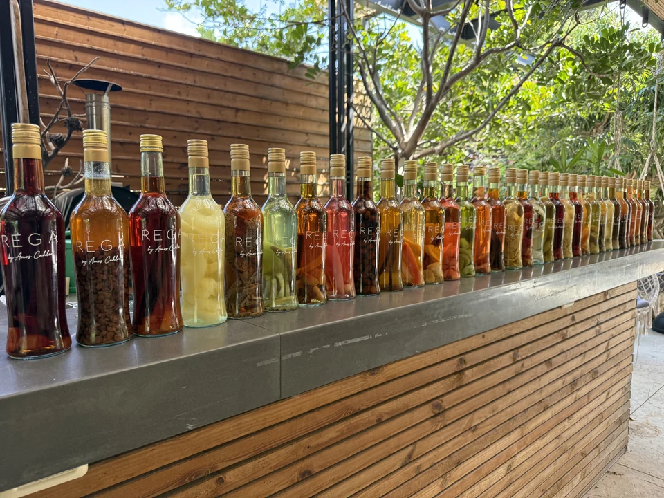 A view along the bottles on the bar, with fruit, spices and the REGA name facing forward