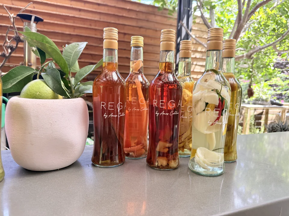 Red, yellow and green REGA bottles on the bar