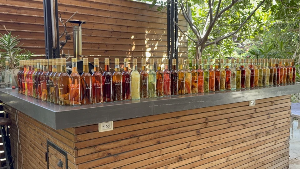 Amos's collection: REGA bottles in different colours, along the bar and around the corner