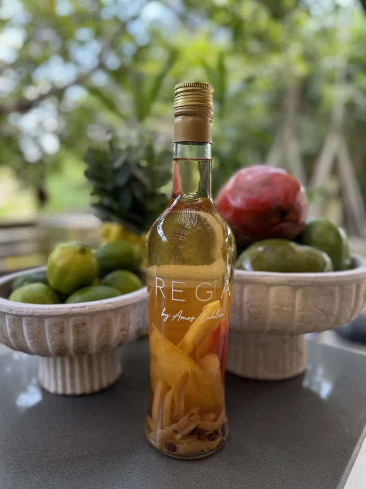 An amber REGA bottle with cut fruit, illustrating a spiced flavour direction